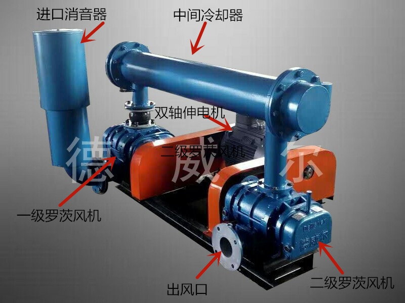 雙極串聯(lián)羅茨風(fēng)機(jī)展示